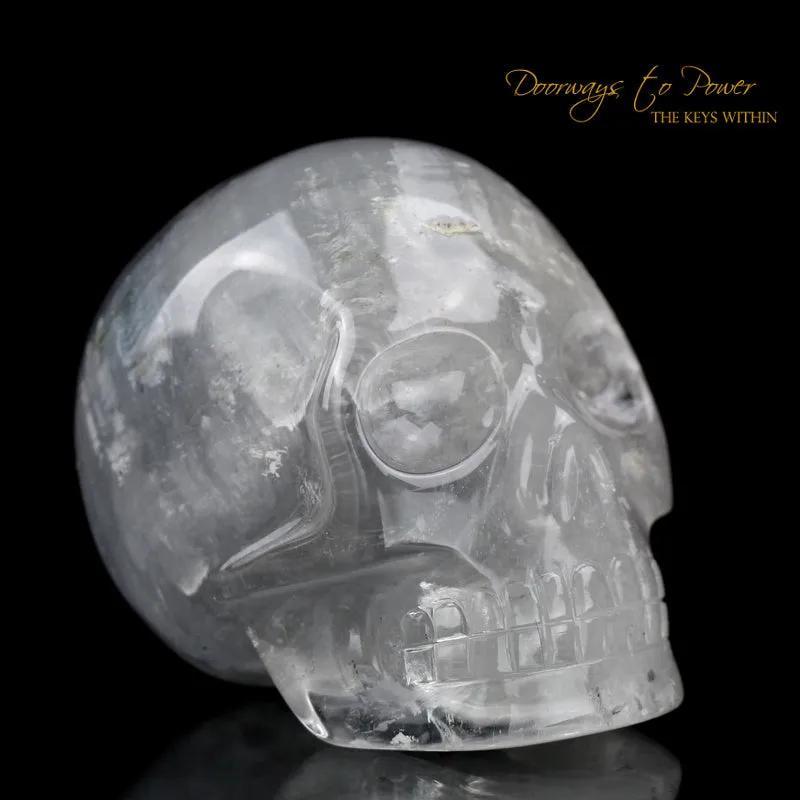 Actinolite Crystal Skull by Leandro De Souza 'Reserved'