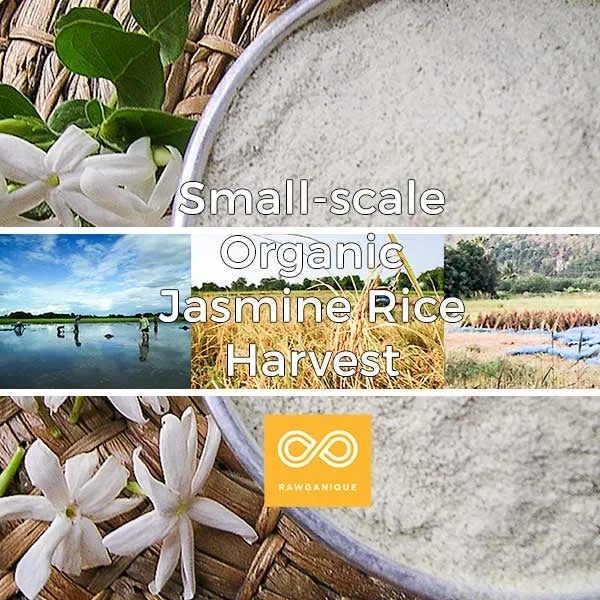 Organic Jasmine Rice Scrub Powder (100g)