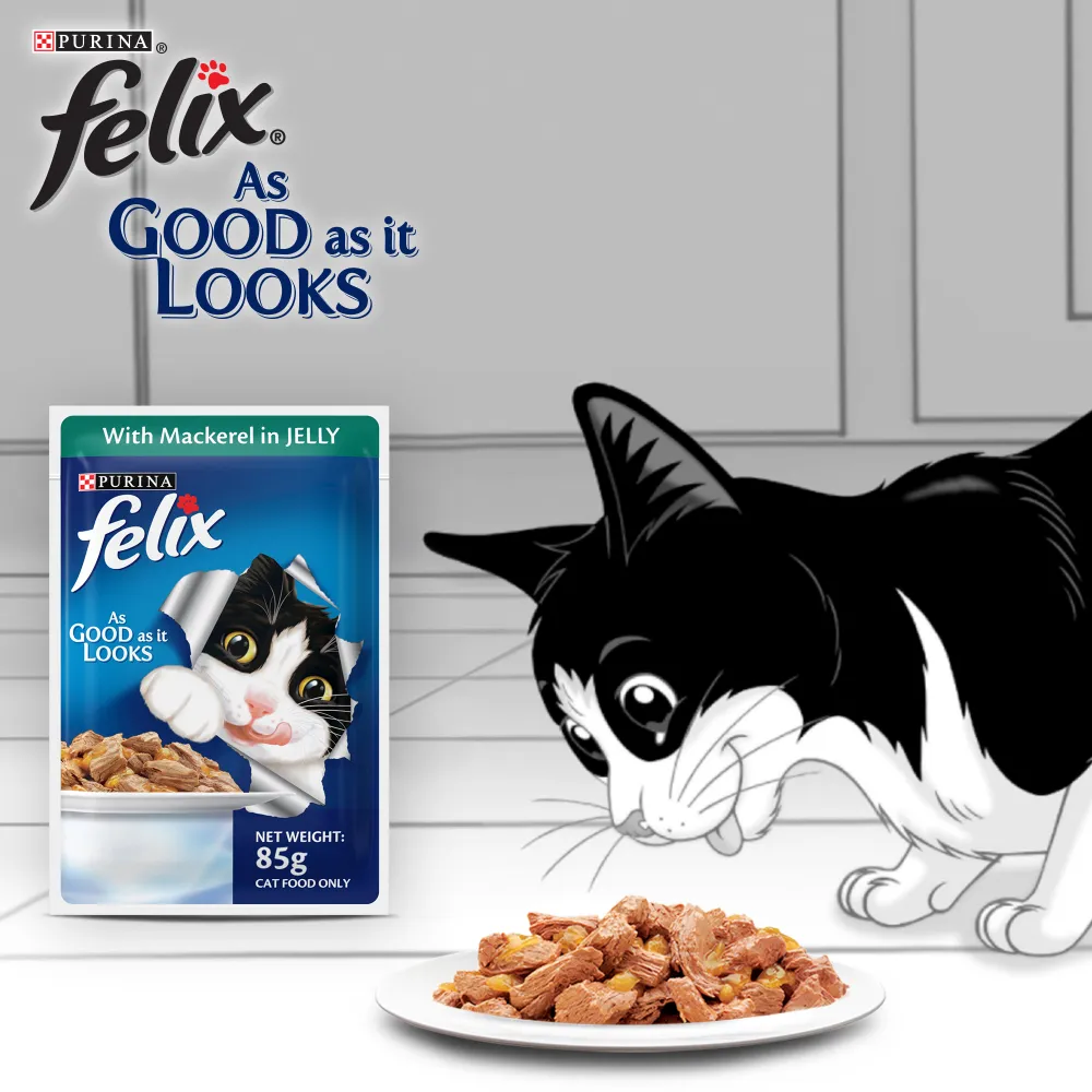 Purina Felix Mackerel, Chicken and Salmon with Jelly Adult Cat Wet Food Combo