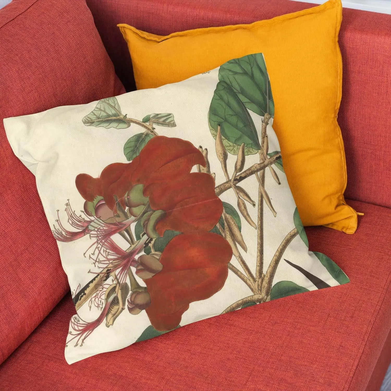 Velvety Erythrina - Botanical Cushion