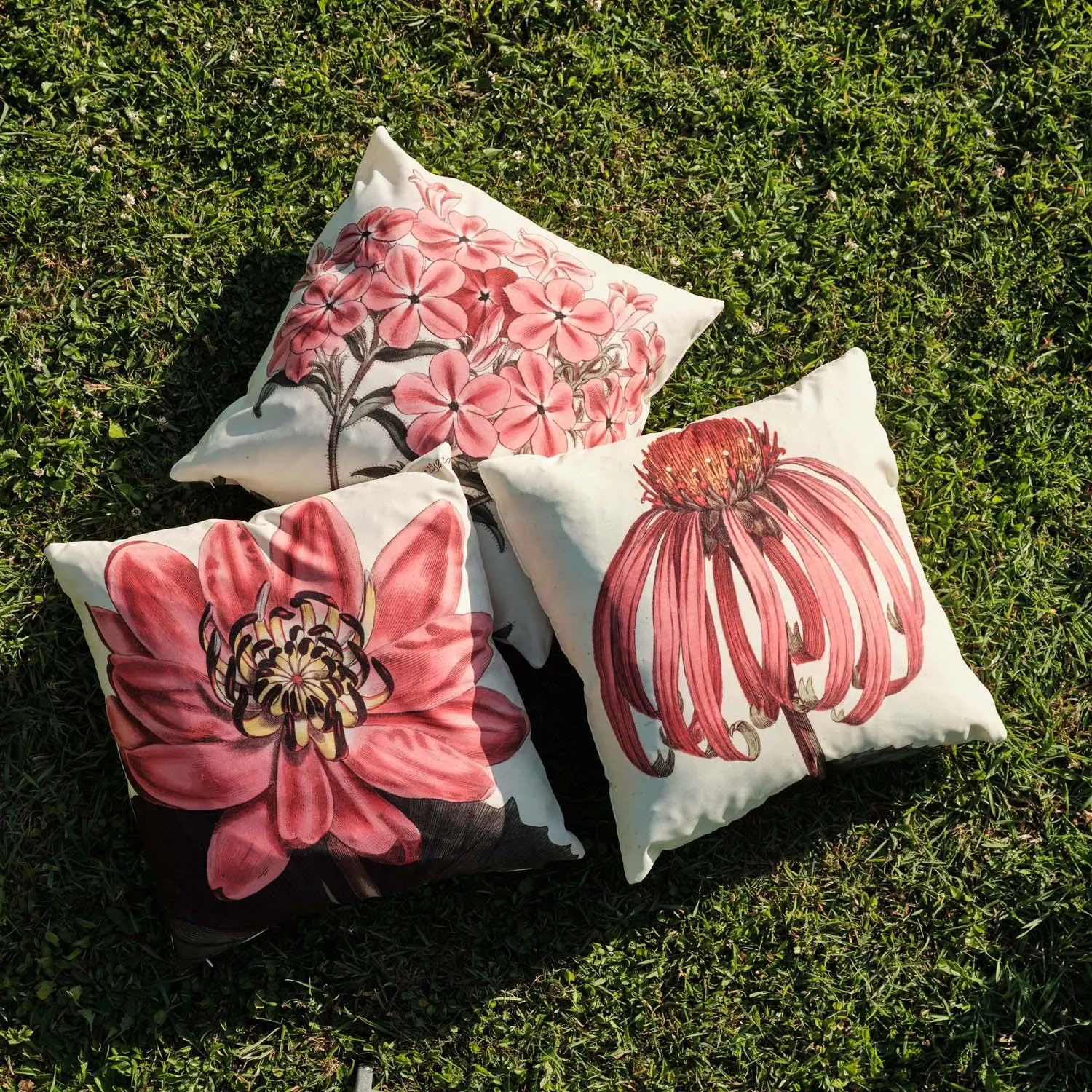 Velvety Erythrina - Botanical Outdoor Cushion